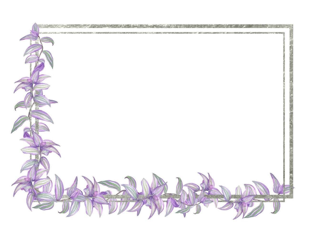 Watercolor purple green tradescantia branches silver framed illustration. Tropical delicate spiderwort creeper house plant border with empty space for text. For greeting cards, invitation vector