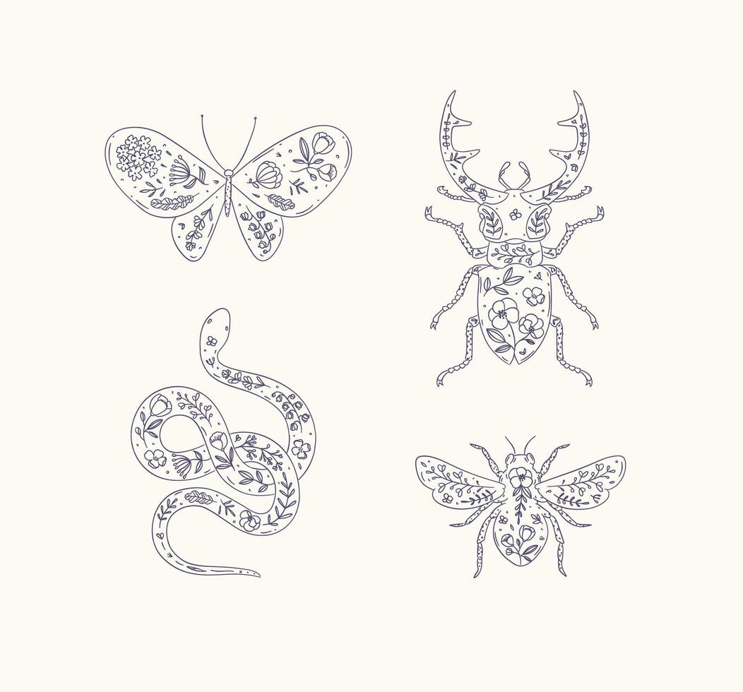 Beetles elements stag beetle, snake, moth, insect drawing in floral style with blue on beige background vector