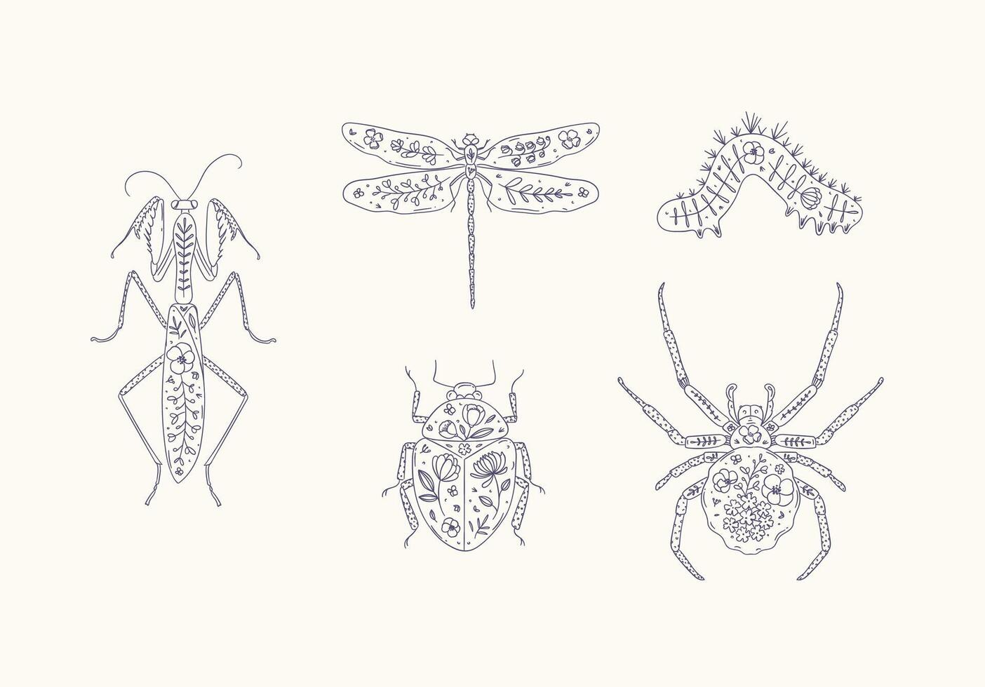 Beetles elements mantis, dragonfly, spider, caterpillar, insect drawing in floral style with blue on beige background vector