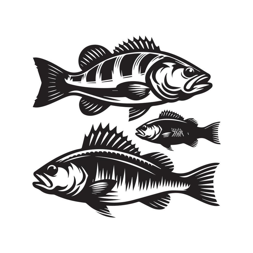 Creative Set of a fishes silhouettes designs vector