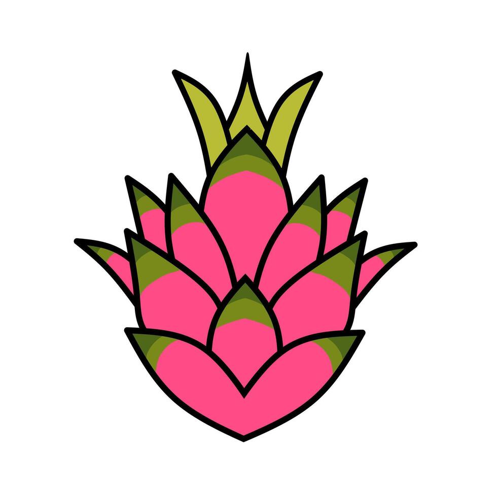 illustration graphic of dragon fruit suitable for use in food design vector
