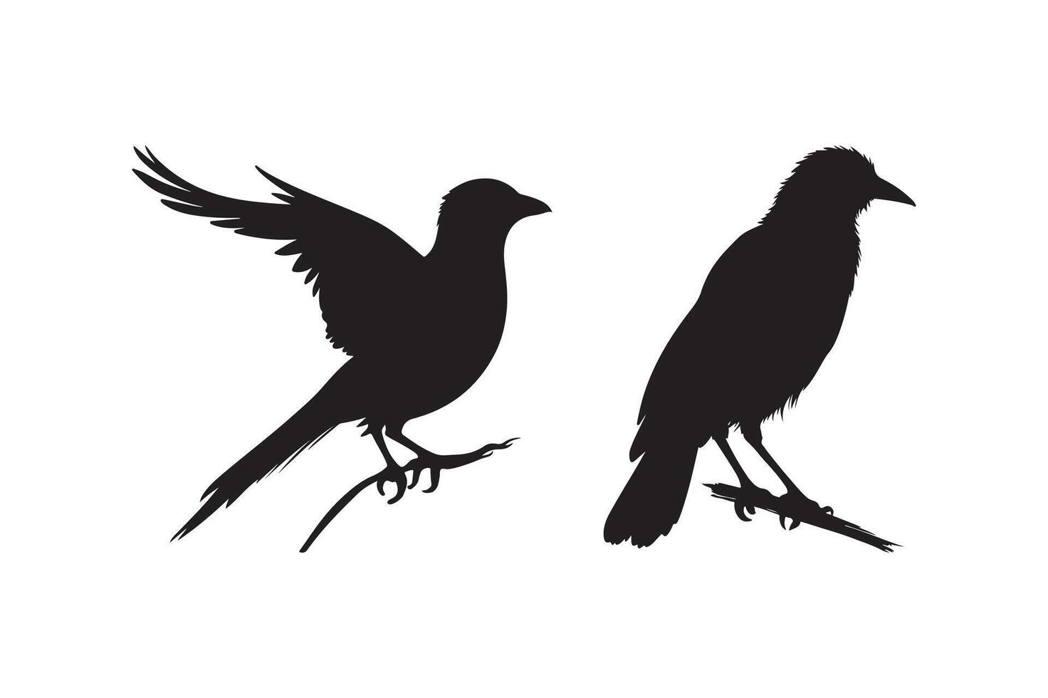 Silhouette of Birds Perched on Branches vector