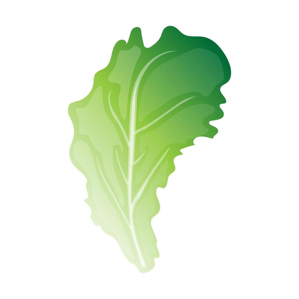 Green oragnic vegetable plant leaf cartoon illustration vector