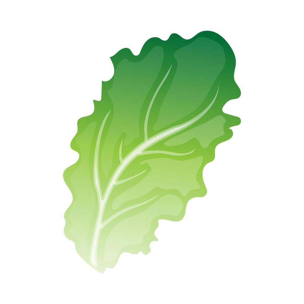 Green oragnic vegetable leaf cartoon illustration vector