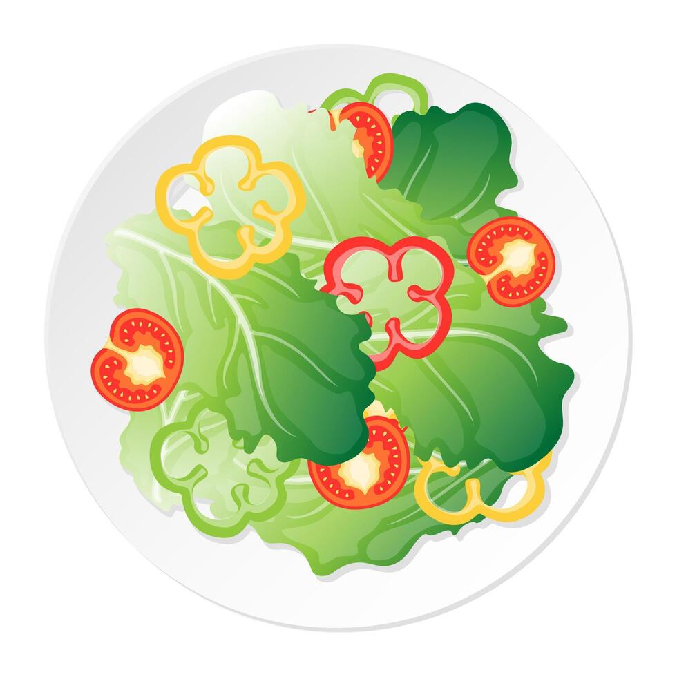 A plate of salad green vegetable leaf sliced tomato and sweet pepper cartoon illustration vector