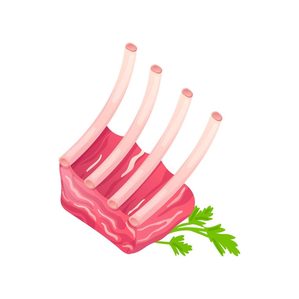 Raw pork ribs in flat design. Deli butcher product for barbecue grill. illustration isolated. vector