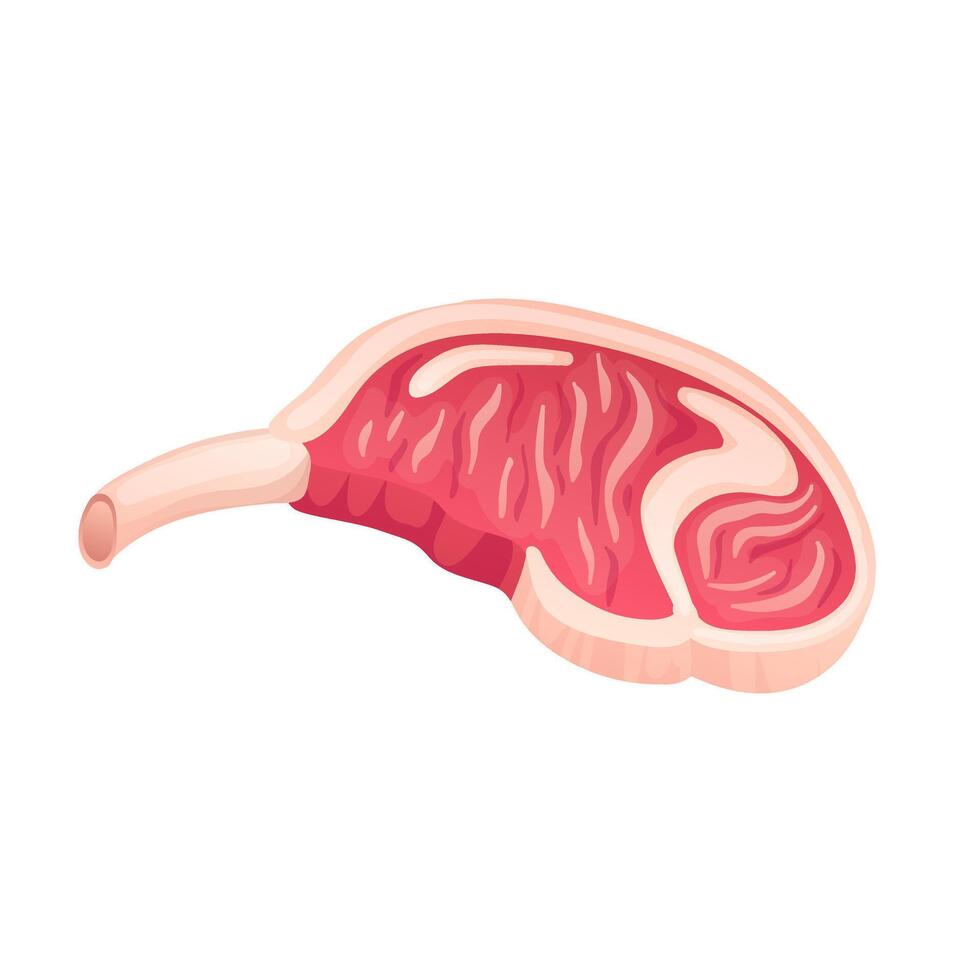 Pork meat on bone in flat design. Uncooked food, deli butcher product. illustration isolated. vector