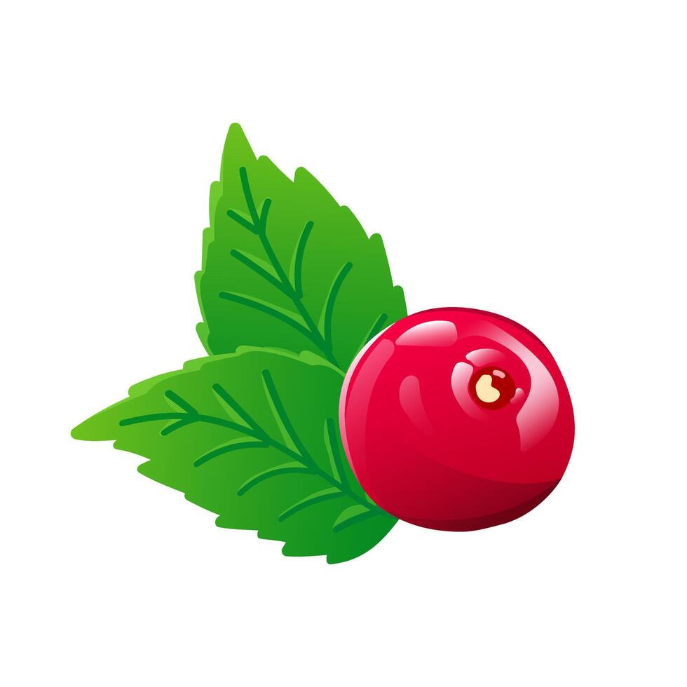 Cranberry with leaf in flat design. Red wild red berry, juicy cowberry. illustration isolated. vector