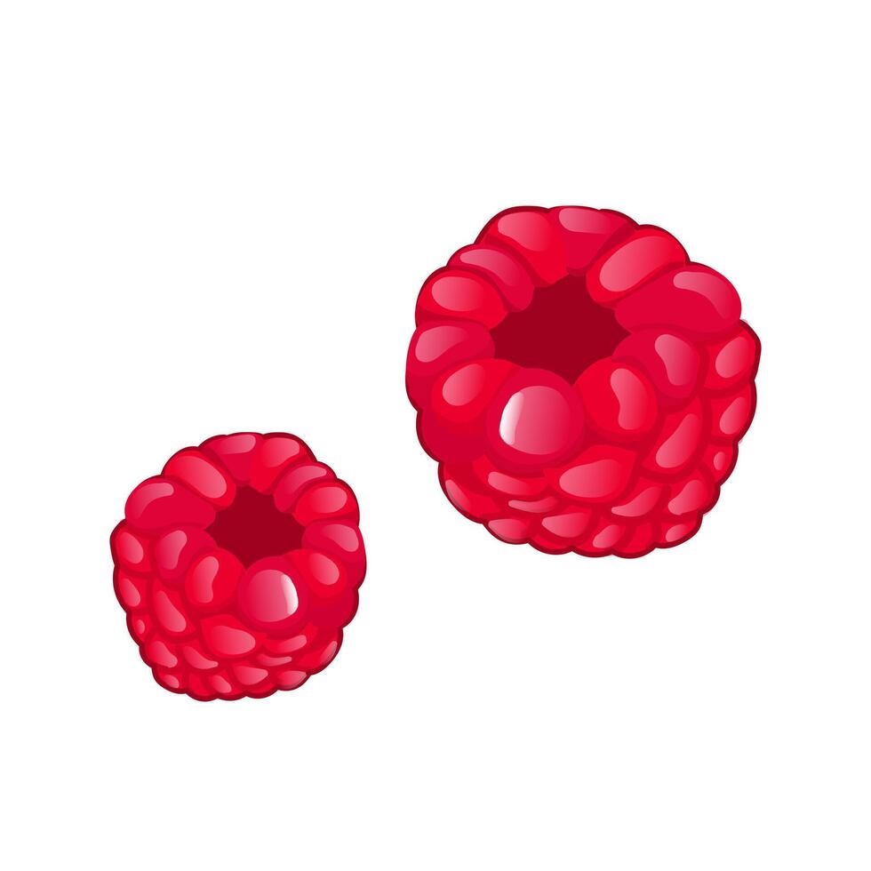 Red raspberry in flat design. Sweet summer two berries, juicy dessert. illustration isolated. vector