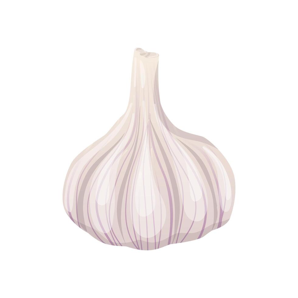 Garlic bulb in flat design. Spice for cooking, seasoning condiment. illustration isolated. vector