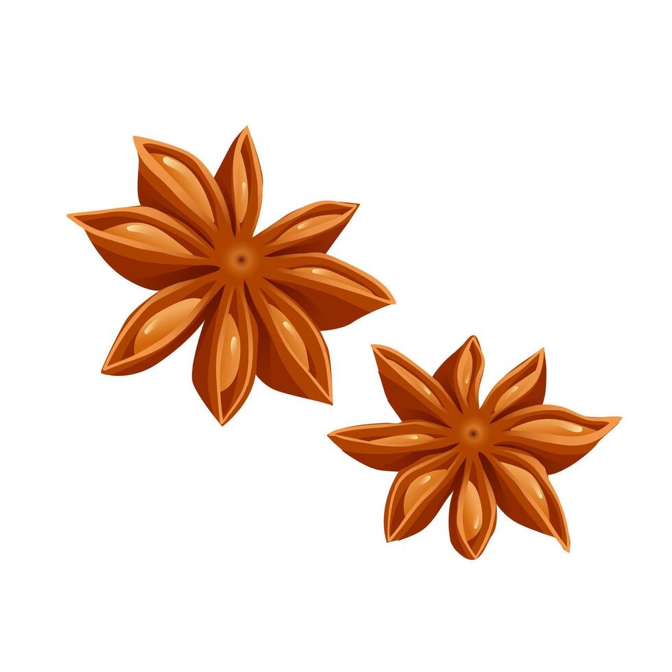 Star anise in flat design. Spice for cooking and baking, scented condiment. illustration isolated. vector
