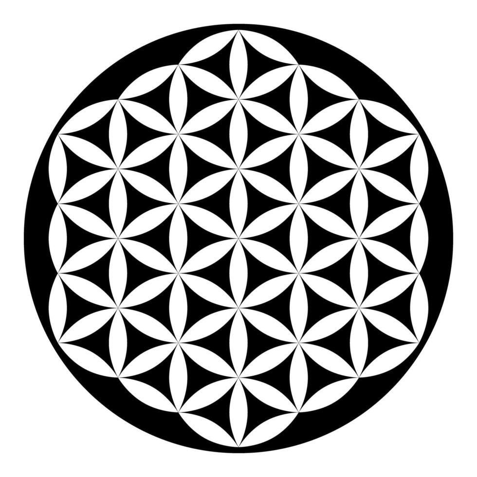 Flower of life Sacred geometry icon color vector