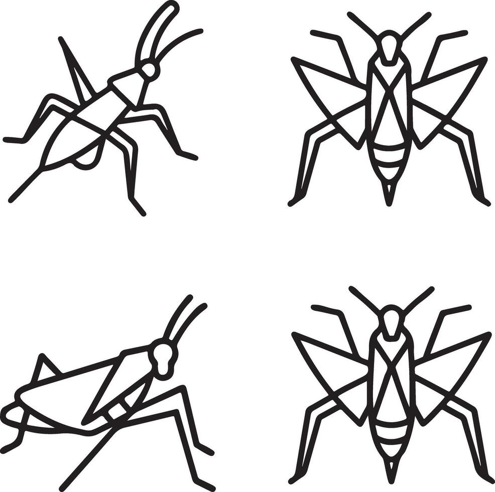 coloring page Grasshopper illustration vector