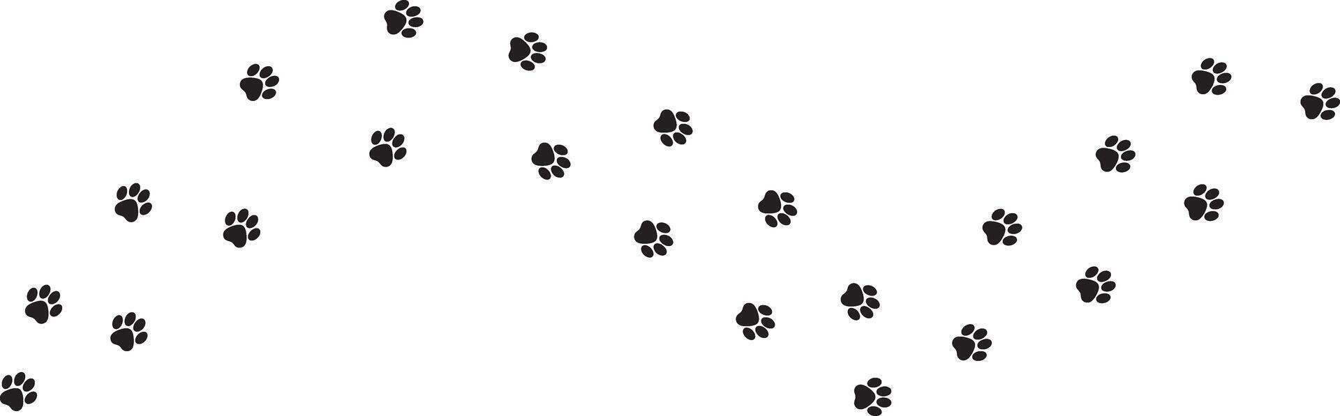 Dog paw print foot trail on white background vector