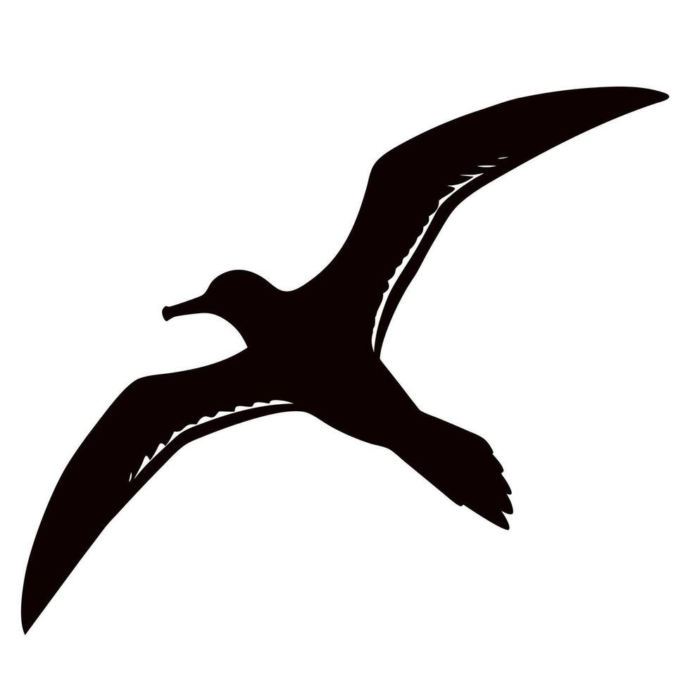 Albatross flying silhouette icon vector
