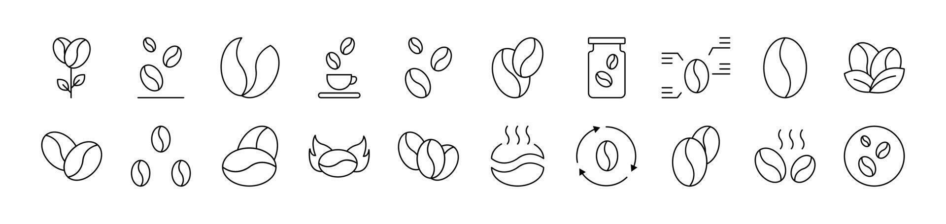 Bundle of Line Icons of Coffee Grain. Editable Stroke. Minimalistic Linear Pictogram for Design of Cards, Apps, Banners, Posts vector