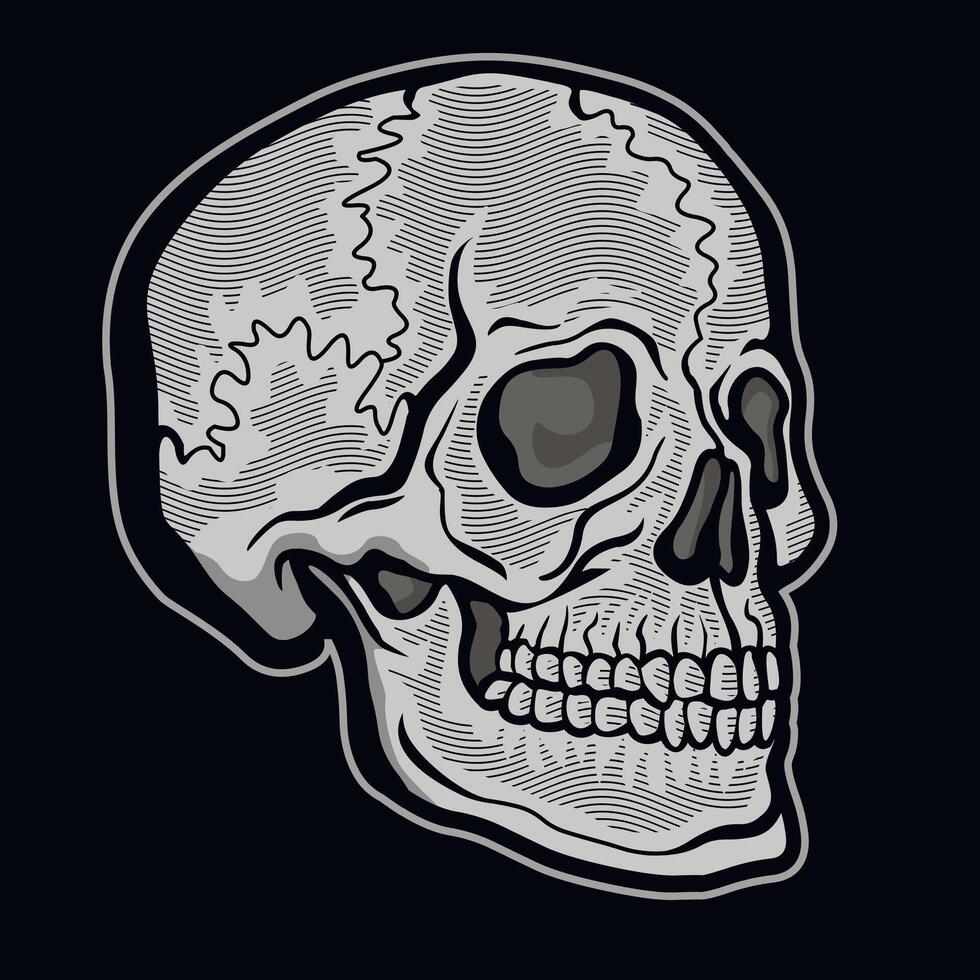 gothic sign with engraving skull vector