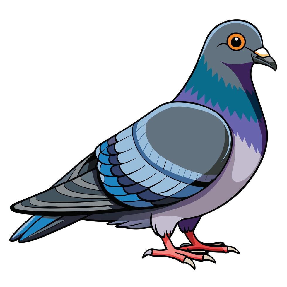 Realistic colorful pigeon cartoon animal illustration vector