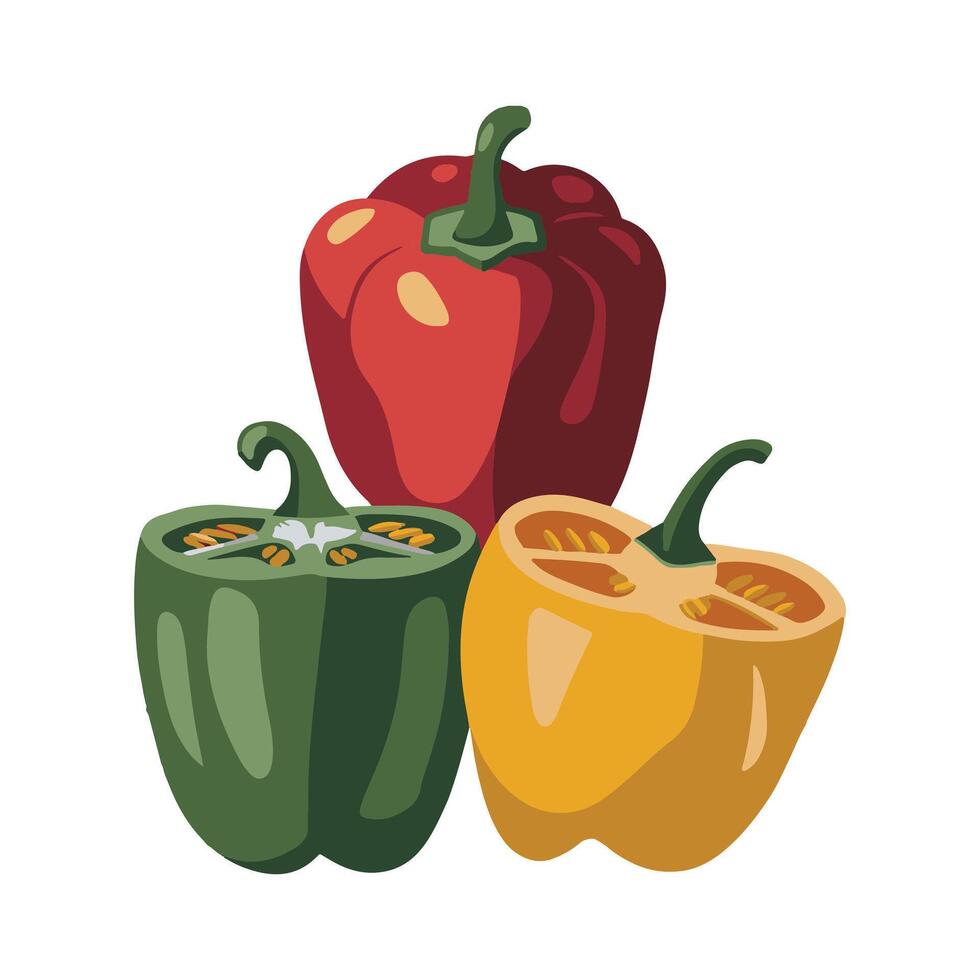 Bell Peppers illustration vector