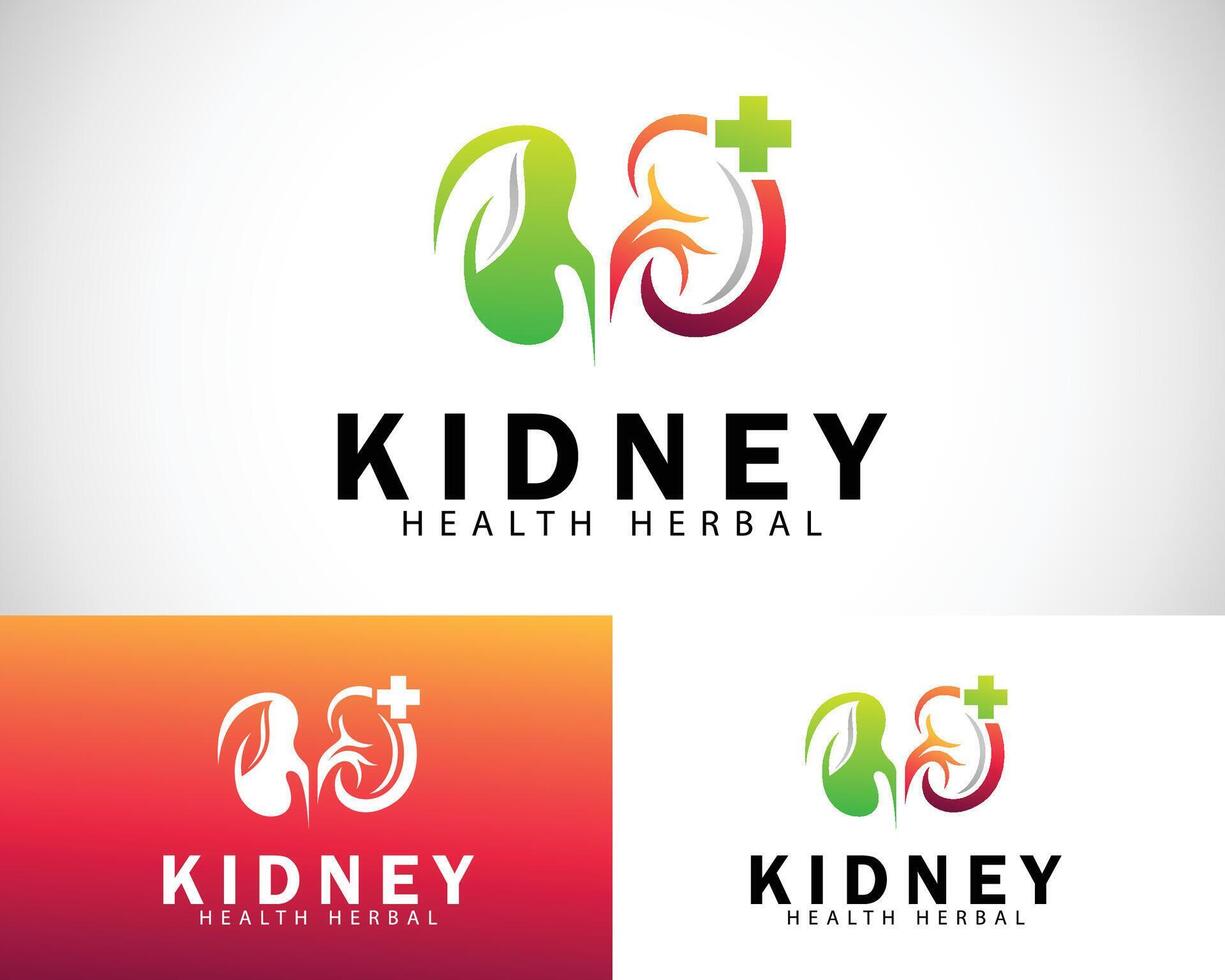 kidney logo creative design concept health leave icon clinic medical plus vector