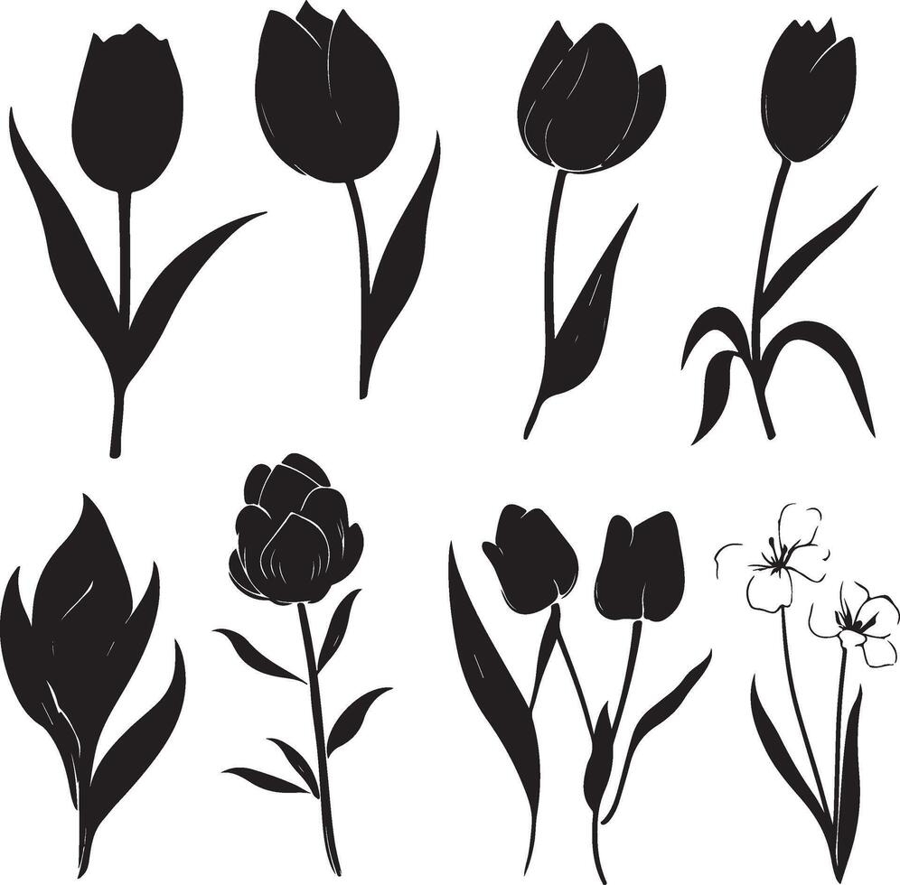 Timeless Tulips Silhouette Set vector