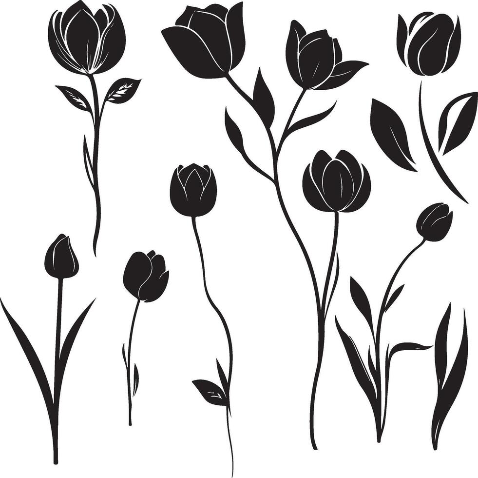 Blossoming Grace Tulip Silhouette Collection vector