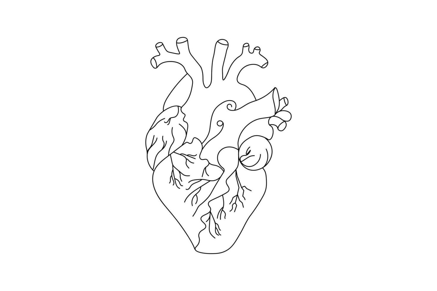 Minimalist Line art of an anatomic unique continuous line drawing of a heart design vector
