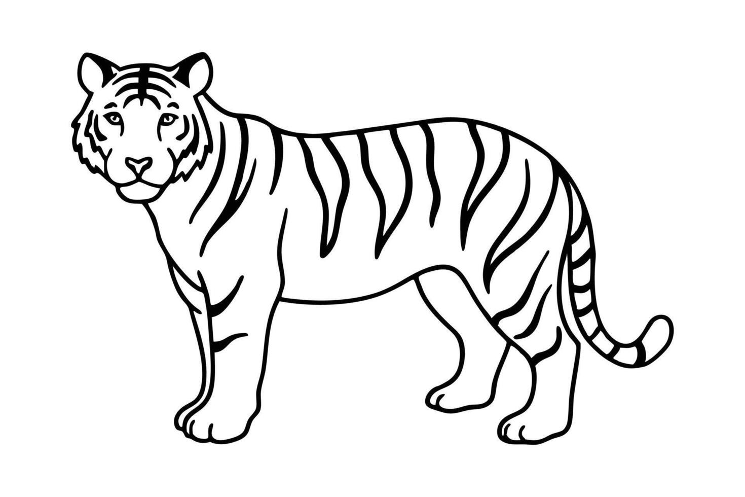 A tiger line art illustration vector