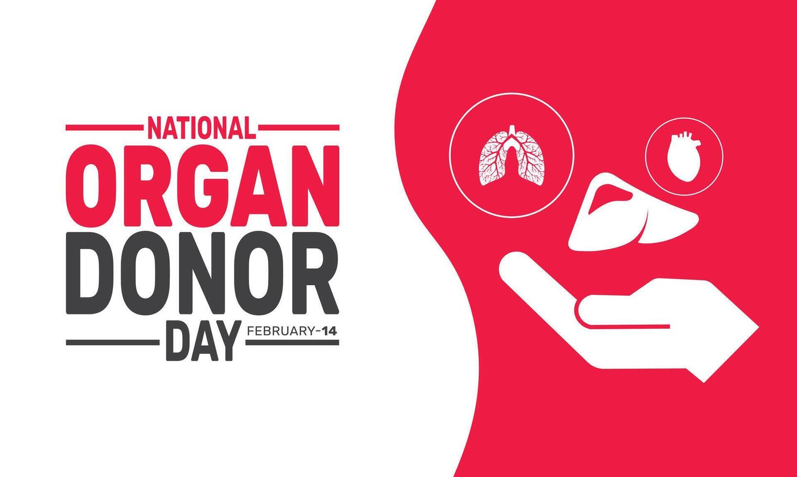 National Organ Donor Day raises awareness about the importance of organ donation, inspiring individuals to make a life-saving impact by registering as donors and celebrating generous donors vector
