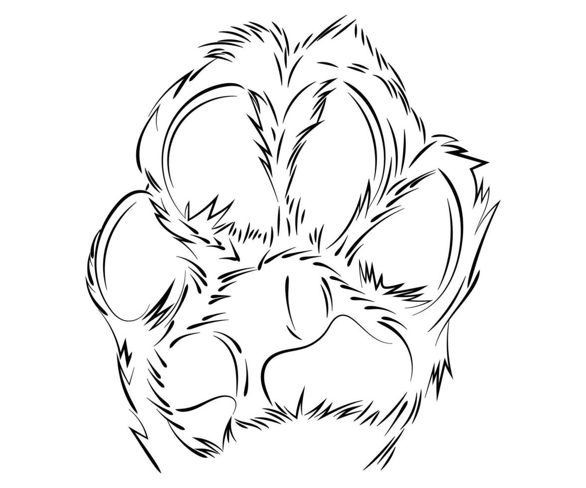 Dog footprint labrador paw hand drawn illustration vector