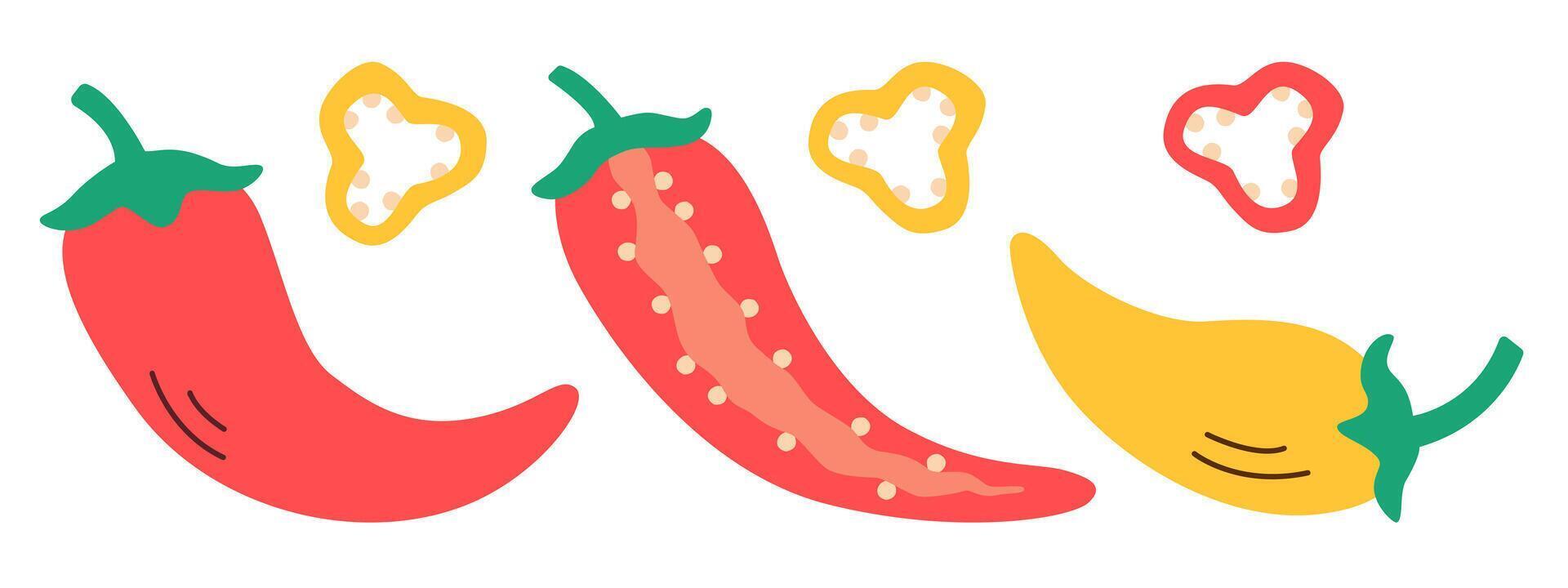 Flat illustration of chili peppers showing whole, halved, and cross-section views, perfect for spicy food designs, cooking projects, and vegetable-themed illustrations. vector
