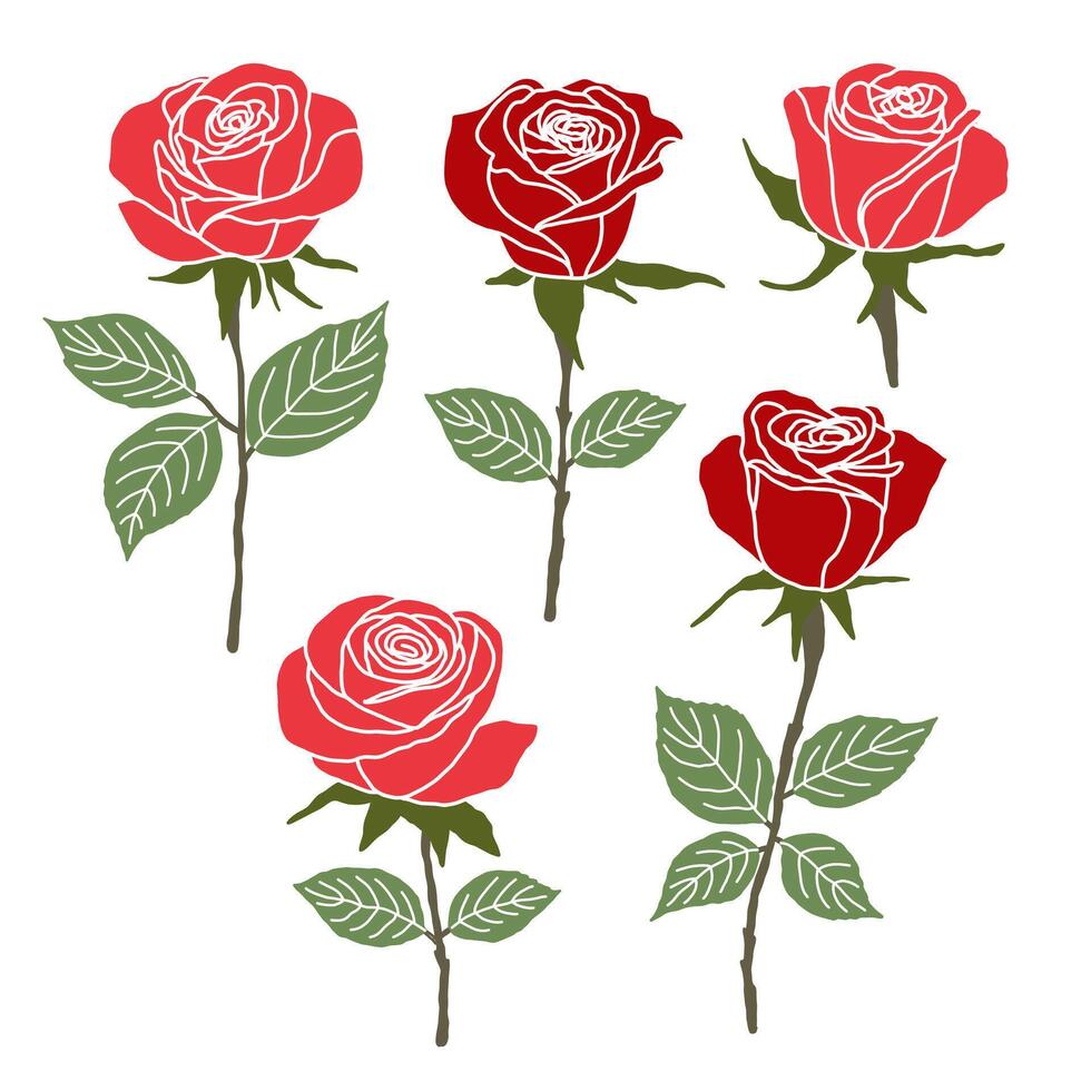 Set Of Red Roses On a White Background vector