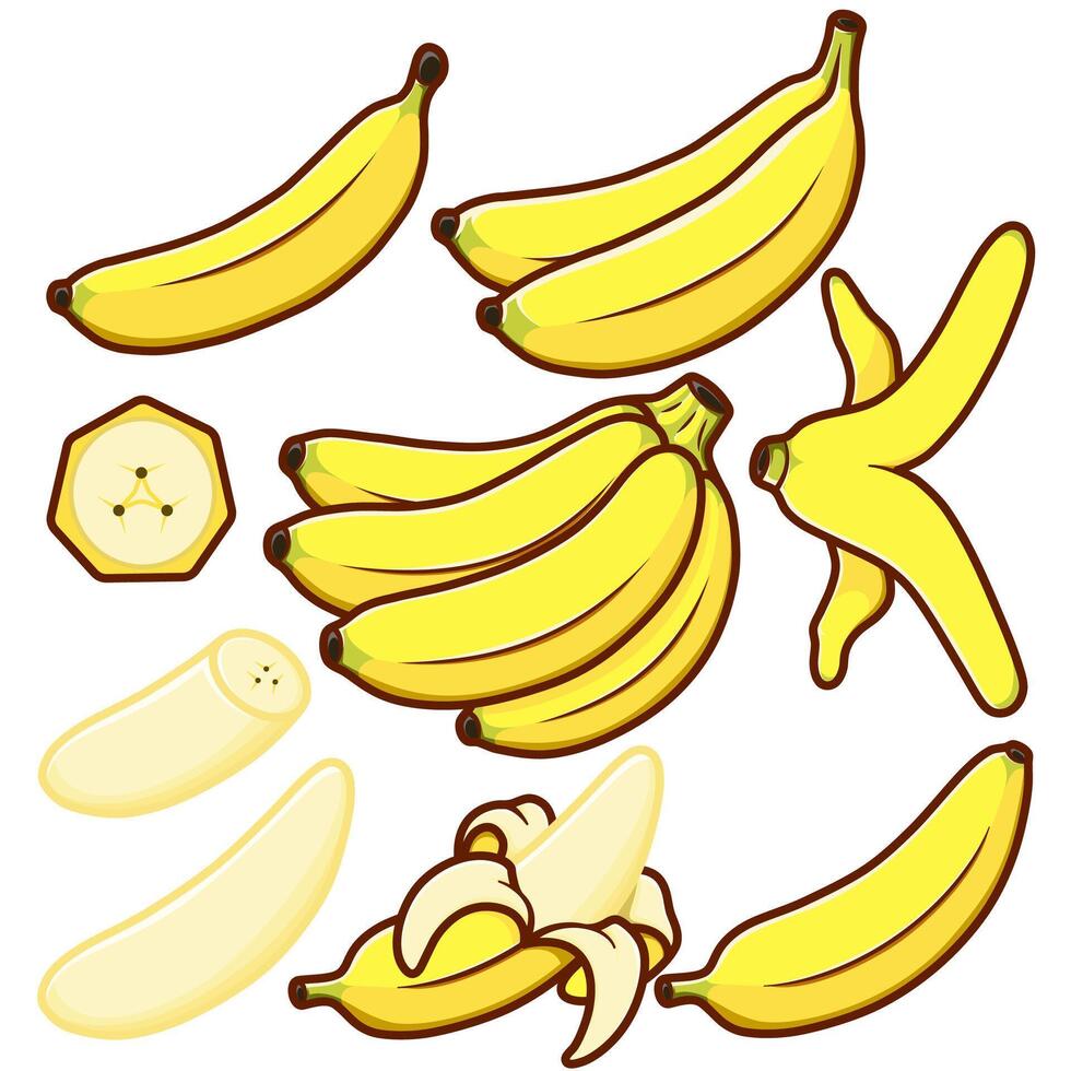 bunch of bananas in various shapes sliced vector
