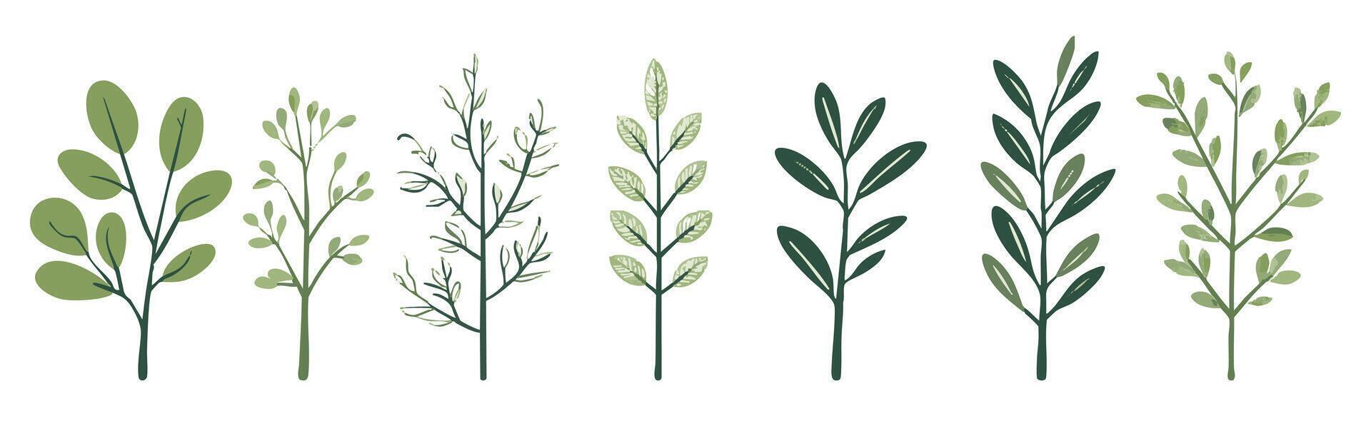 Flat design tree and leaf collection, perfect for botanical and nature-inspired projects. featuring a collection of trees and leaves in various stages of growth vector