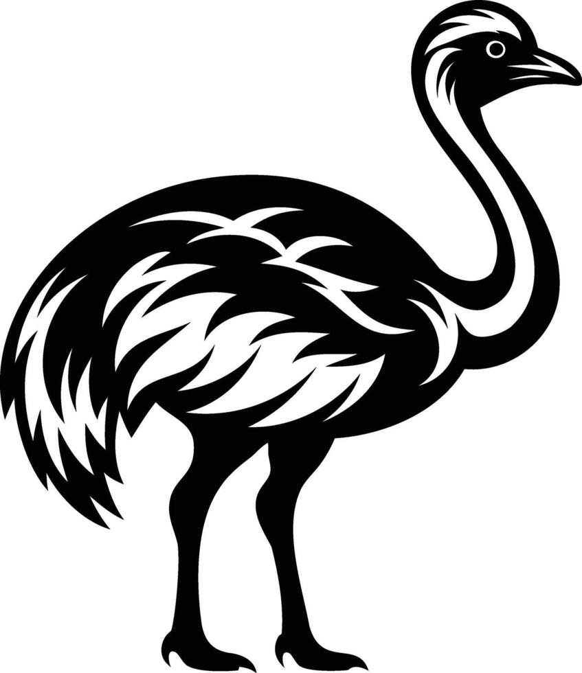 Graceful Ostrich Silhouettes A Symbol of Elegance and Speed vector