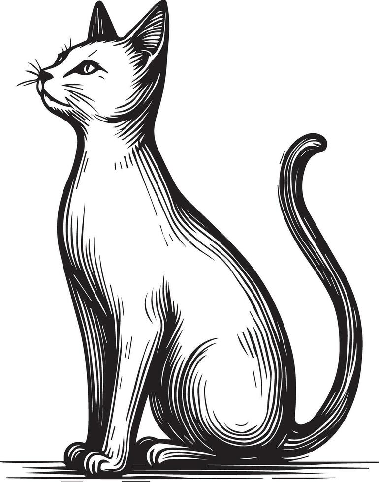 Cat Full Body Art Illustration vector