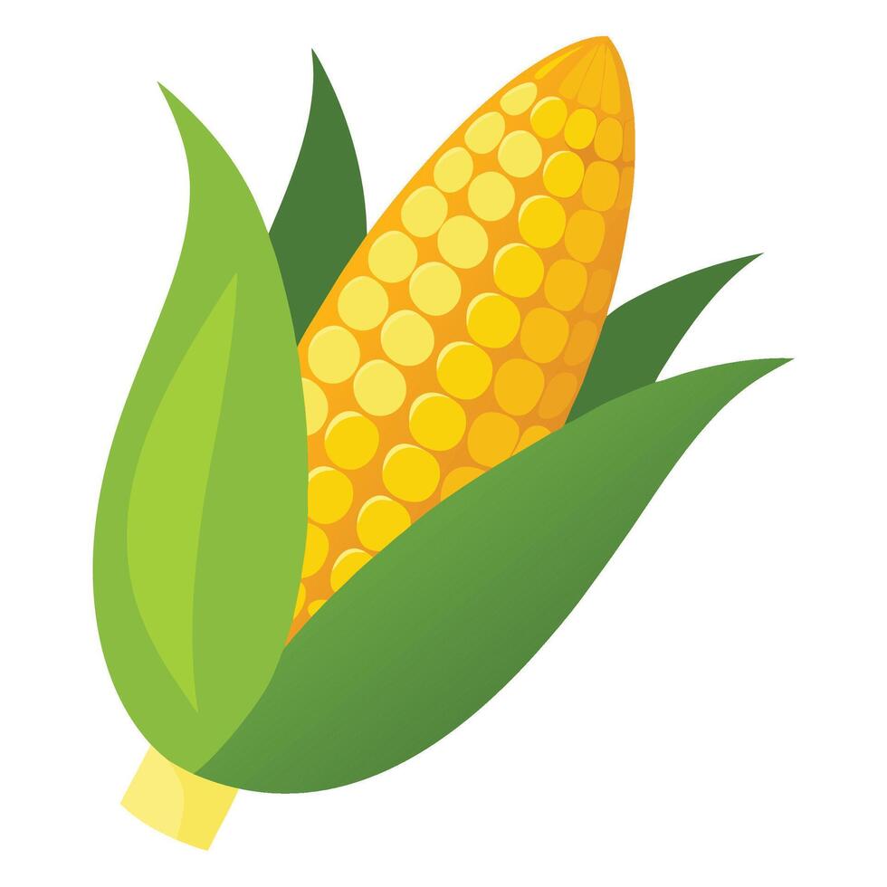 Stylized Graphic of a Golden Ear of Corn Surrounded by Vibrant Green Leaves Emphasizing the Importance of Agriculture in Food Production vector
