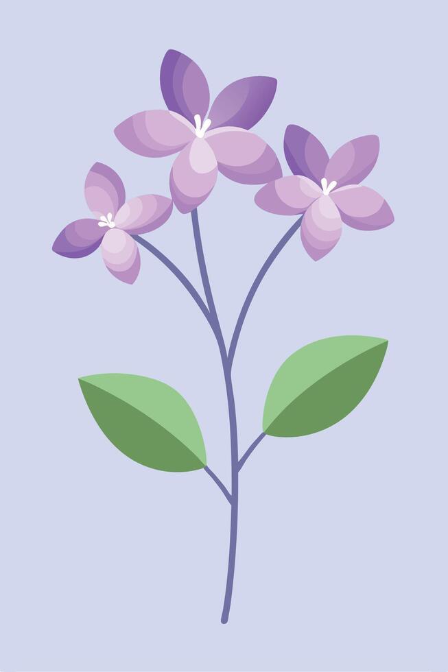 Elegant Purple Flowers, Simple Stem, Green Leaves, Botanical Illustration vector
