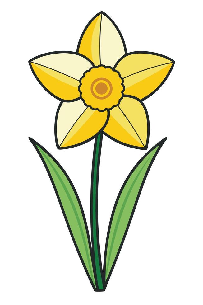 Yellow Daffodil Flower Spring Bloom Nature Illustration Graphic vector