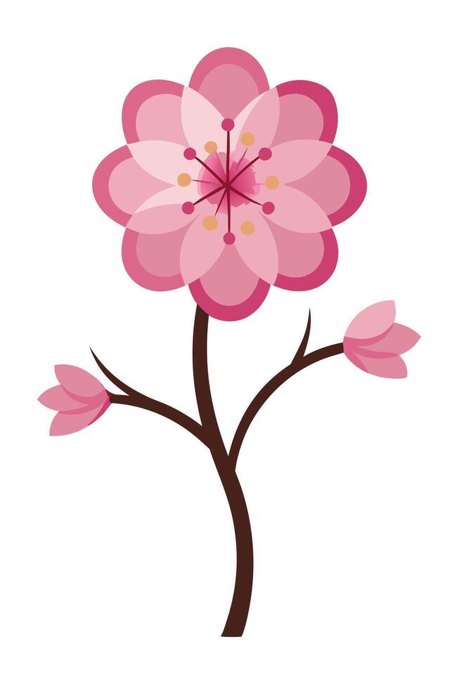Pink Blossom Tree Branch, Spring Flower, Asian Cherry Tree vector