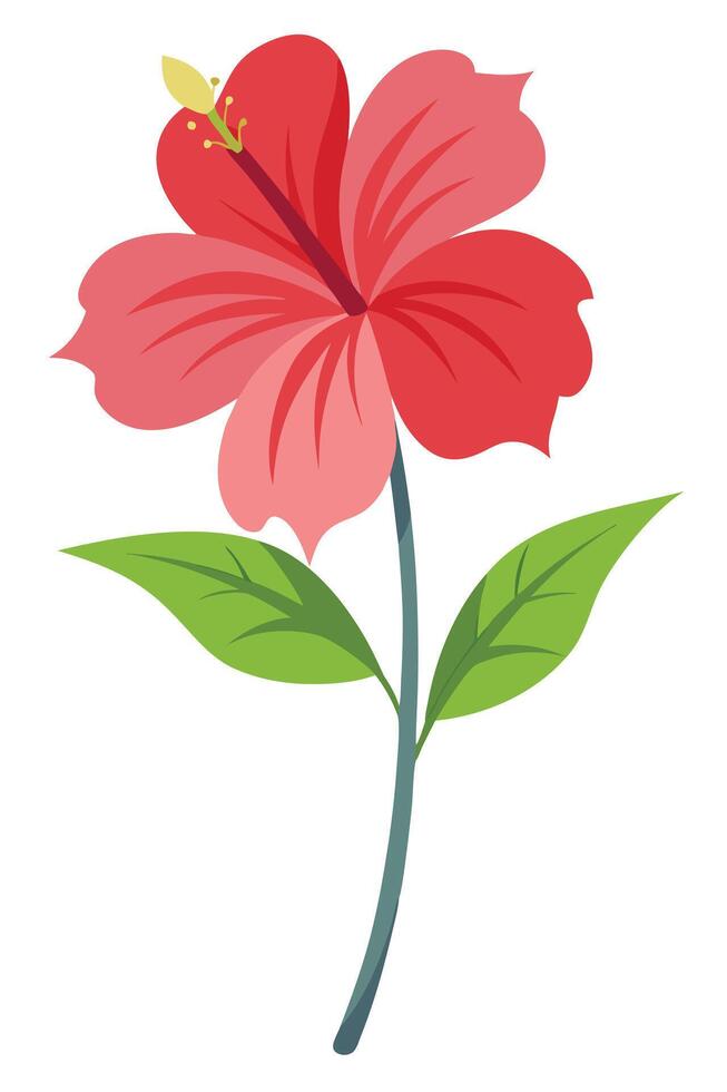 Vibrant Red Hibiscus Flower, Lush Green Leaves, Simple Stem vector