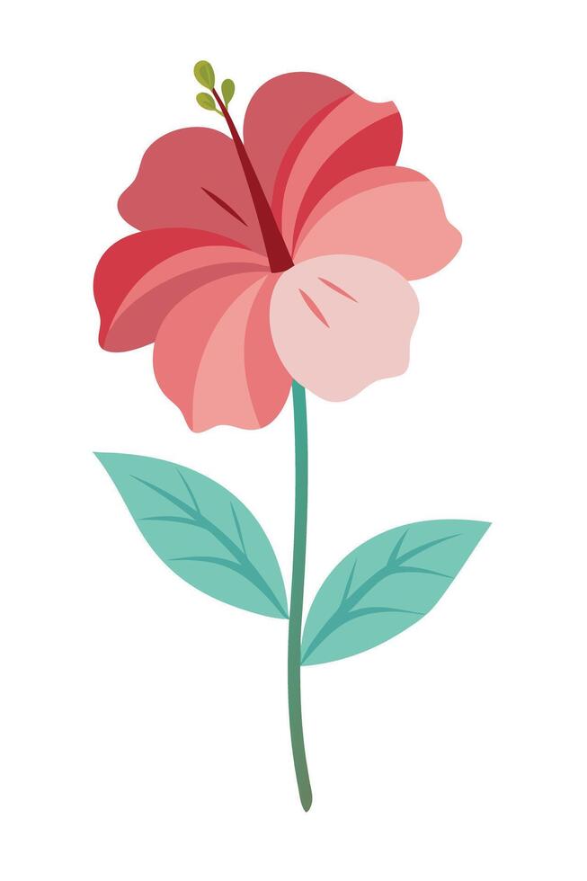 Pink Hibiscus Flower Illustration, Simple Botanical Design, Floral Art vector