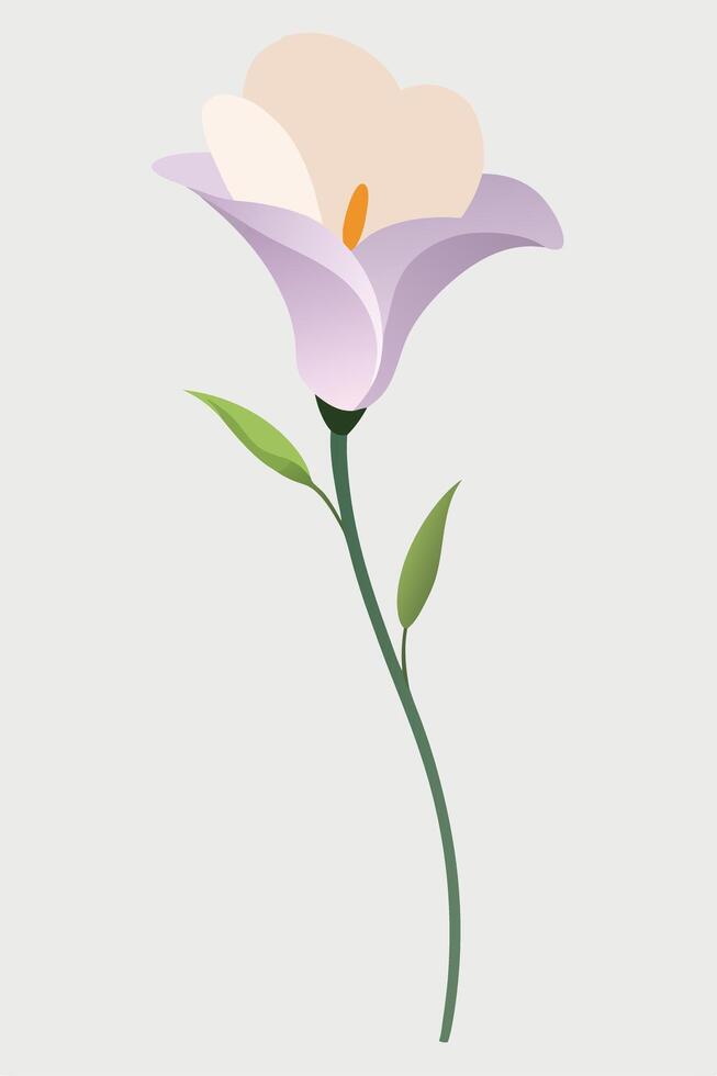Elegant Pastel Calla Lily, Minimalist Flower Illustration, Botanical Art vector