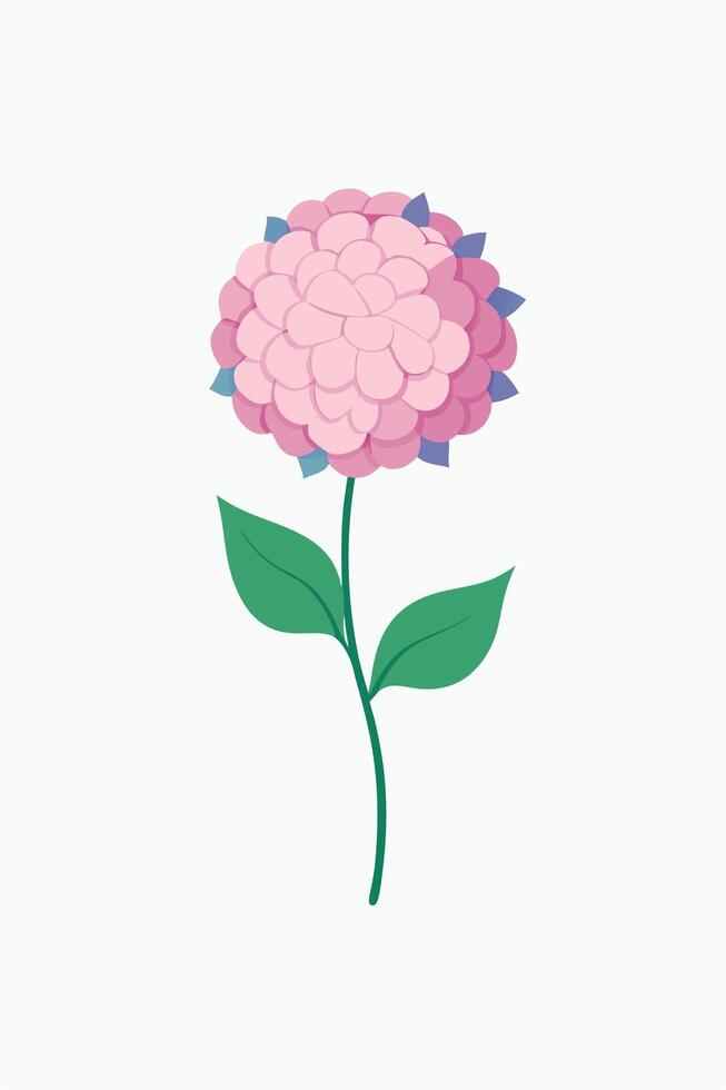 Pink Flower Blossom, Green Leaves, Simple Botanical Illustration vector