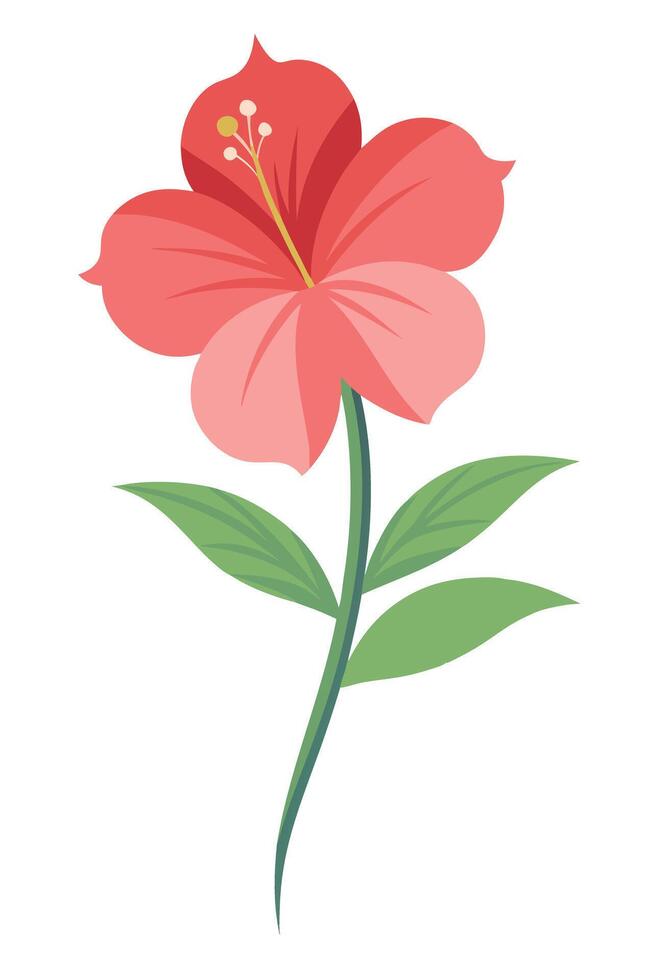 Single Hibiscus Flower Bloom, Pink Petals, Green Leaves, Stem, Botany vector