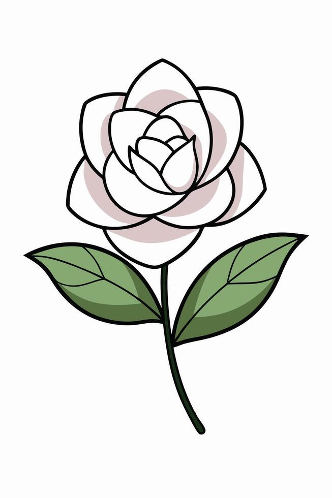 Elegant White Camellia Flower with Green Leaves Illustration vector
