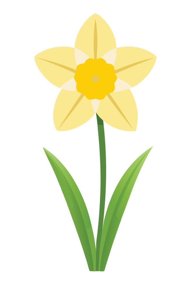 Single Yellow Daffodil Flower Spring Bloom Illustration Graphic vector
