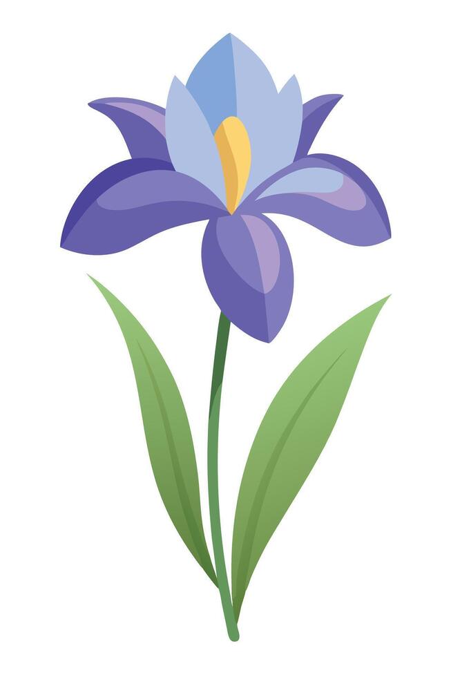 Purple Iris Flower Blossom, Natures Elegant Spring Bloom vector