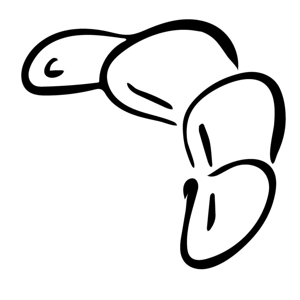 croissant doodle icon vector