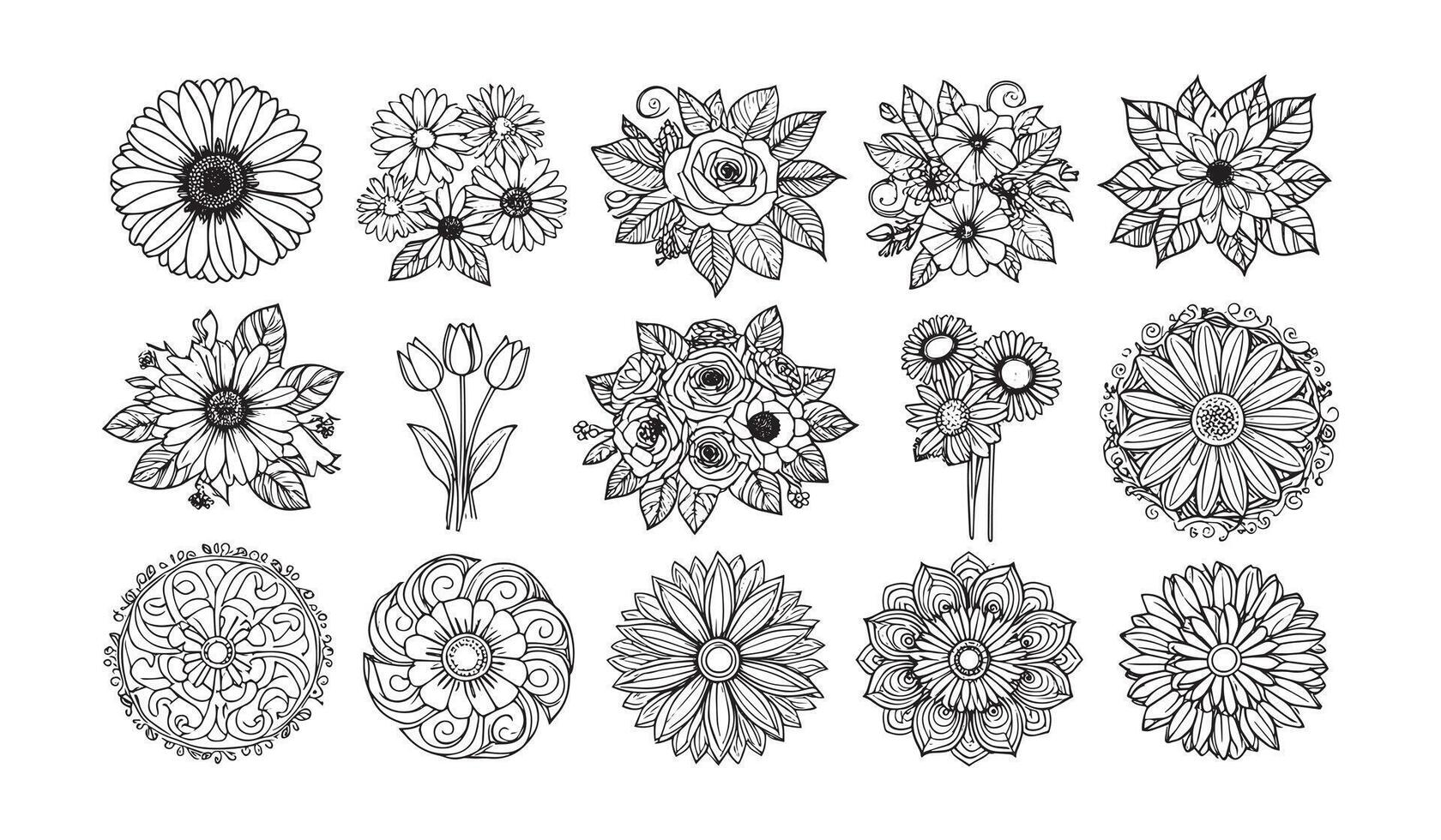 Flower Line Art Collection vector
